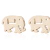 Femme Elephant Charm Bracelet™ – Elegant Symbolic Jewelry for Women