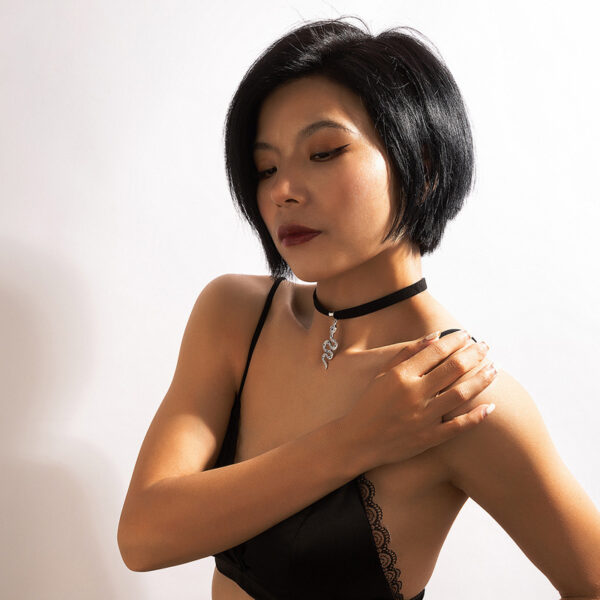9b6cb199-b204-417d-ab6f-17492f415ba7.jpg Chokers Witchy Gothic Grunge Collar Velvet Necklace Dark Jewelry For Gift